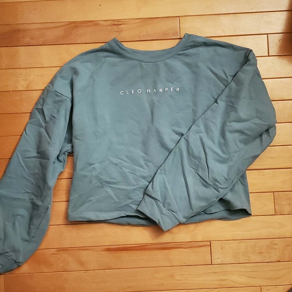 Cleo harper dexter sweater (sage) (medium but made like a small)